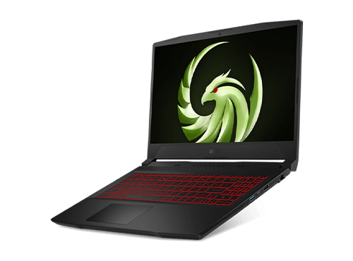 MSI Bravo 15 B5DD-219XRU