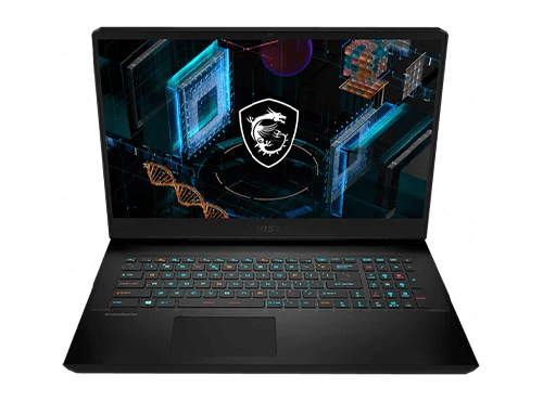 MSI Vector GP66 12UGS-403RU